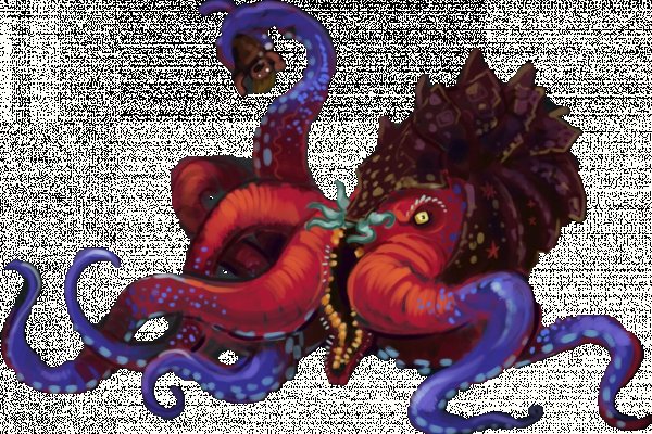 Kraken найдется все