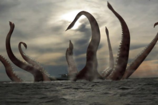 Kraken зеркало