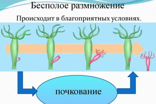 Кракен нар шоп