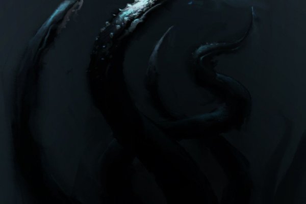 Kraken 12at